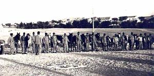 2395- Bedeau - 9e Hussards - 2e Escadron - Harka2 du Capitaine Moinet - 1959